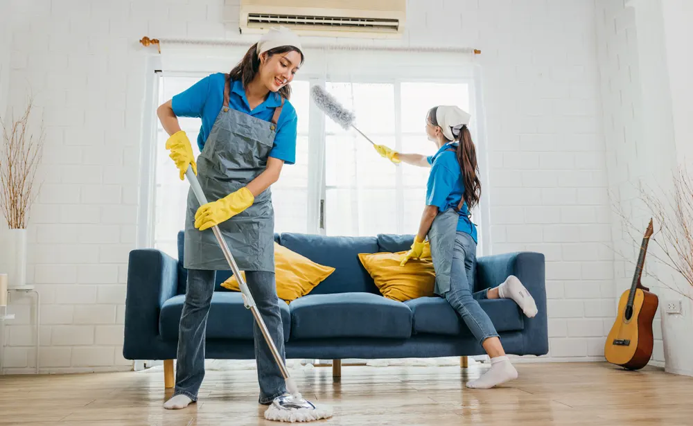 eco friendly home cleaning