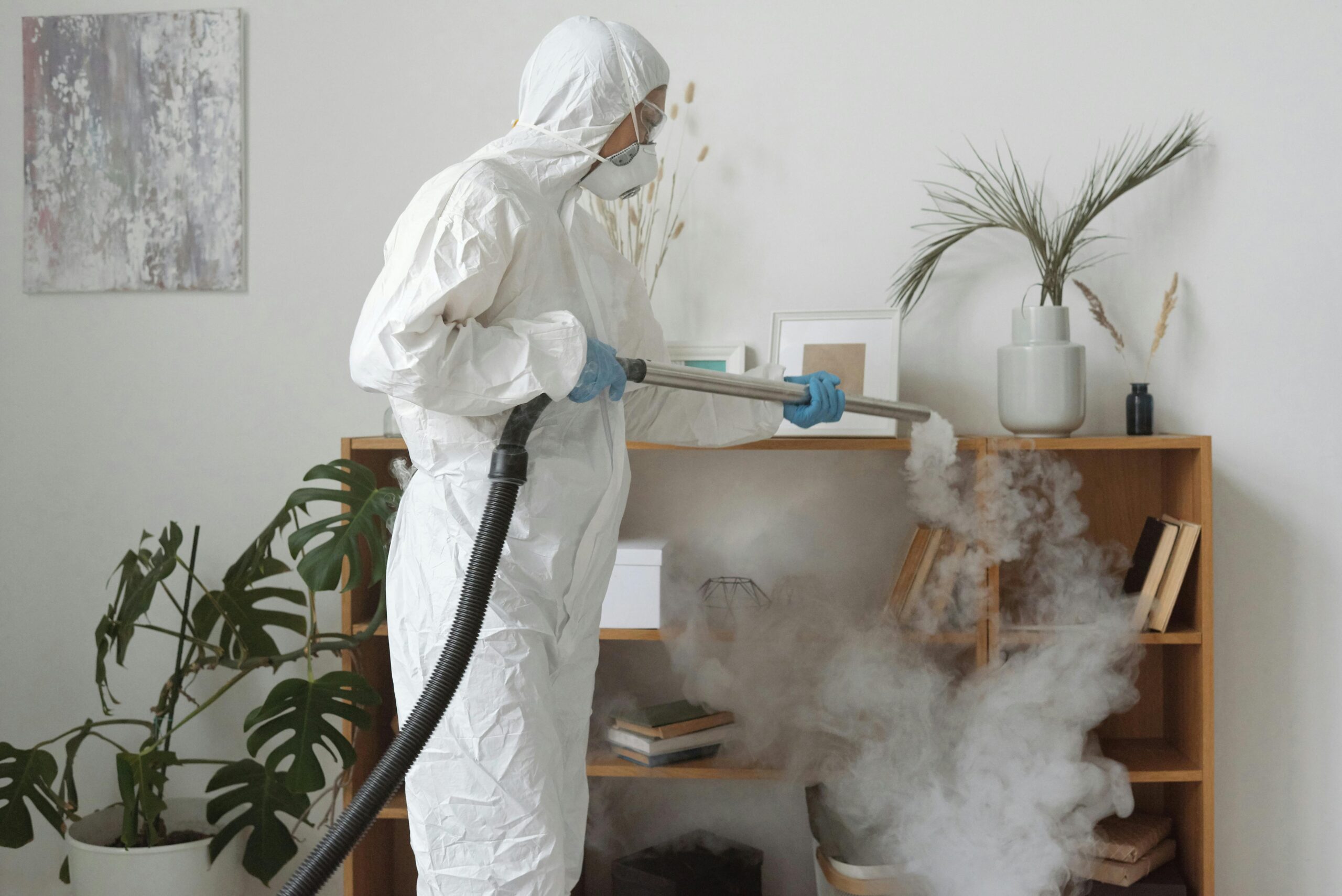 eco-friendly residential and commercial cleaning